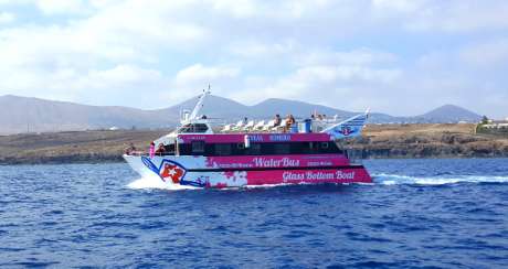 Book, Island Hop on Ferry from Lanzarote to Fuerteventura