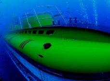 Submarine Safari