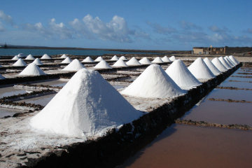 Las Salinas de Janubio