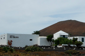 Museo del Vino El Grifo