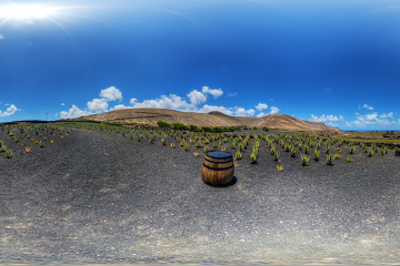 Aloe Vera Museum