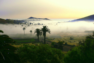 Valle de las 1000 Palmeras