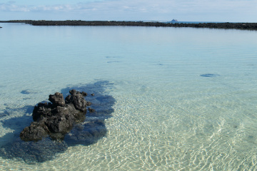 Caleton Blanco