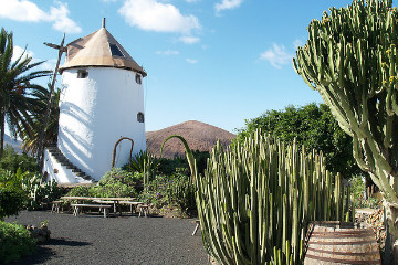 Museo Agricola el Patio