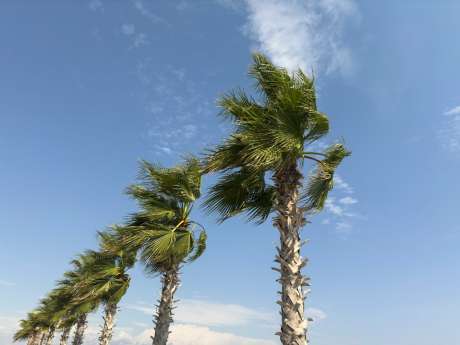 Sonidos Líquidos Cancelled and Wind Damage Reported as Strong Gusts Hit Lanzarote