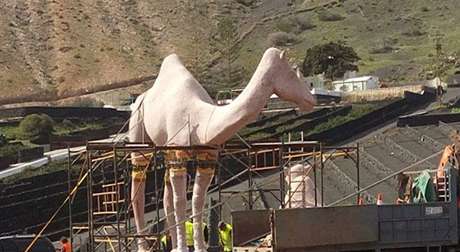 Artistic Camel Sculptures Arrive at Uga