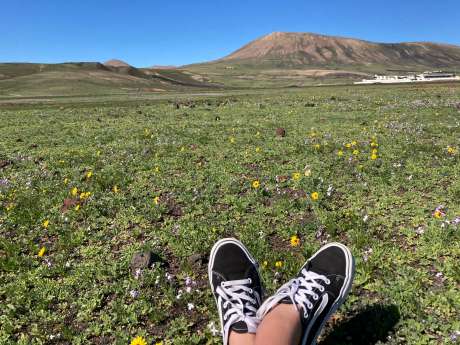 weather in Lanzarote in January