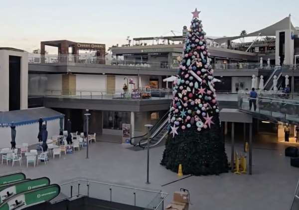 Christmas Comes Early as the Tree Goes Up at Biosfera Plaza
