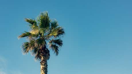 Lanzarote Records One of Its Hottest Julys in Six Decades
