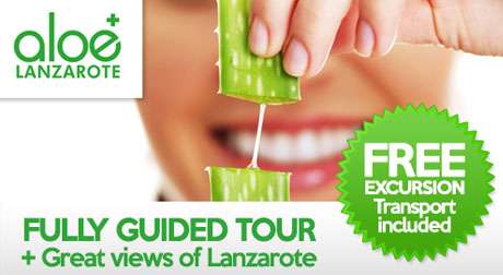Book a Rep for Free Excursions in Lanzarote