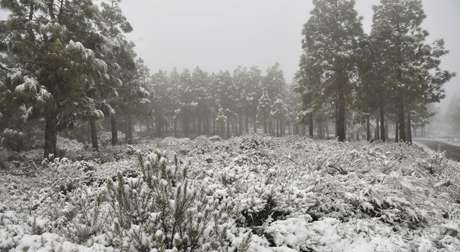 Tenerife Sees Snowfall and La Palma Slashed With Rains