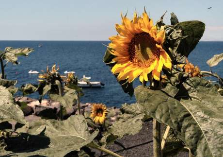 Lanzarote Weather Forecast 17th - 23rd August