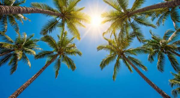 Heat Warning Now Covers Lanzarote as Temperatures Climb Toward 37 Degrees