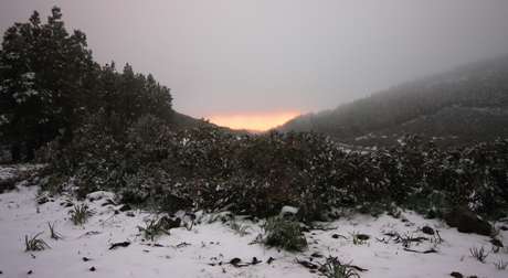 Cloudy Weather continues in The Canary Islands